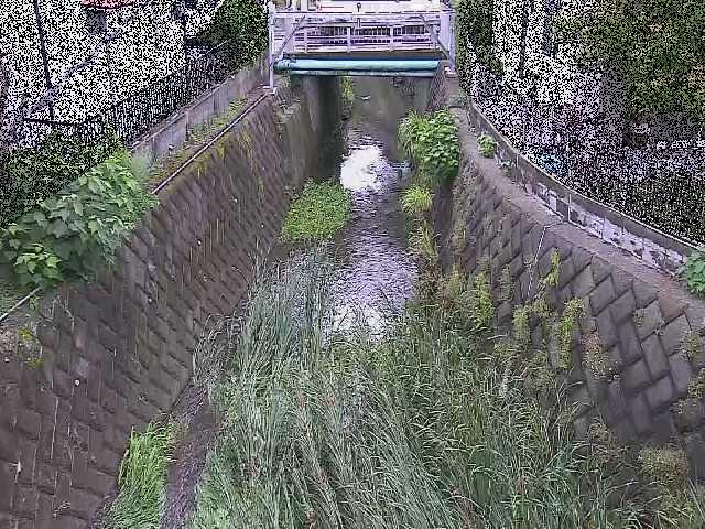 大津橋付近のカメラ画像