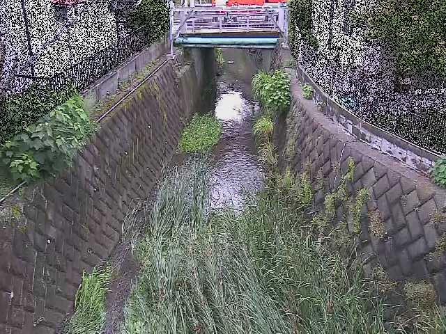 大津橋付近のカメラ画像