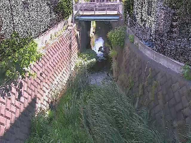 大津橋付近のカメラ画像