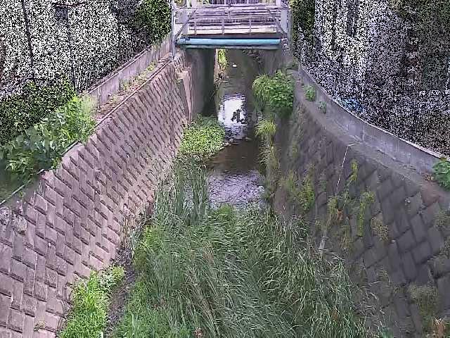 大津橋付近のカメラ画像
