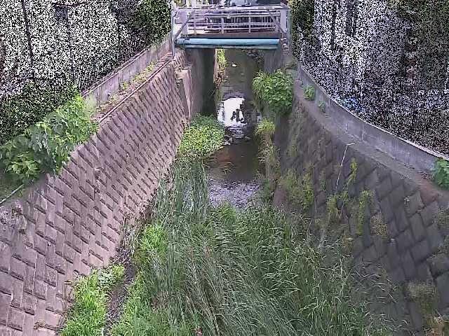 大津橋付近のカメラ画像
