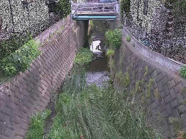 大津橋付近のカメラ画像
