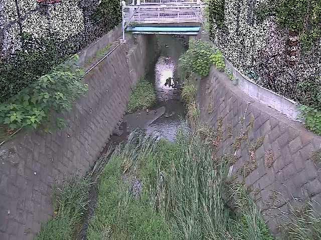 大津橋付近のカメラ画像