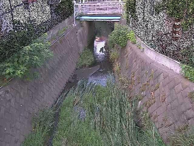大津橋付近のカメラ画像