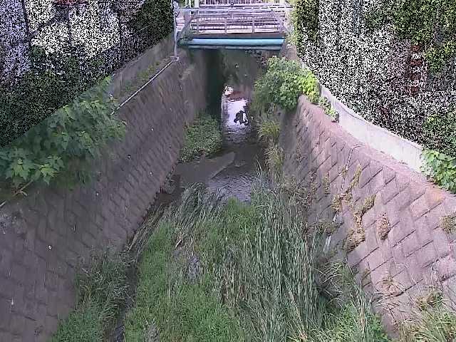 大津橋付近のカメラ画像