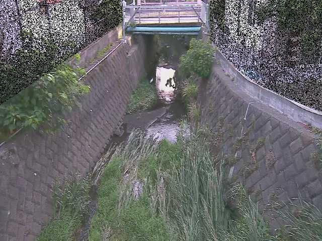 神戸川 大津橋付近のカメラ画像