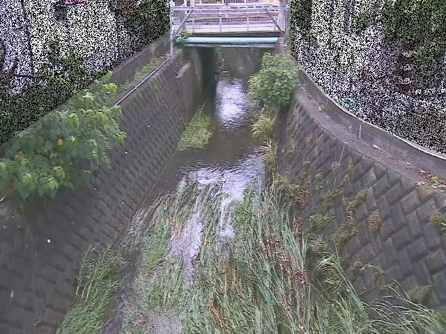 大津橋付近のカメラ画像