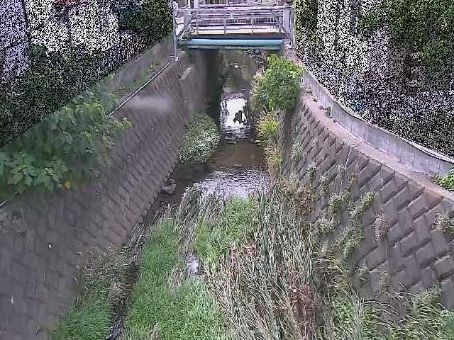 大津橋付近のカメラ画像