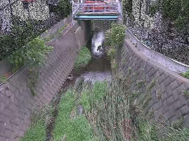 大津橋付近のカメラ画像