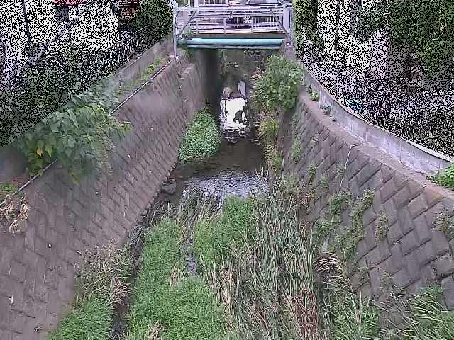 大津橋付近のカメラ画像