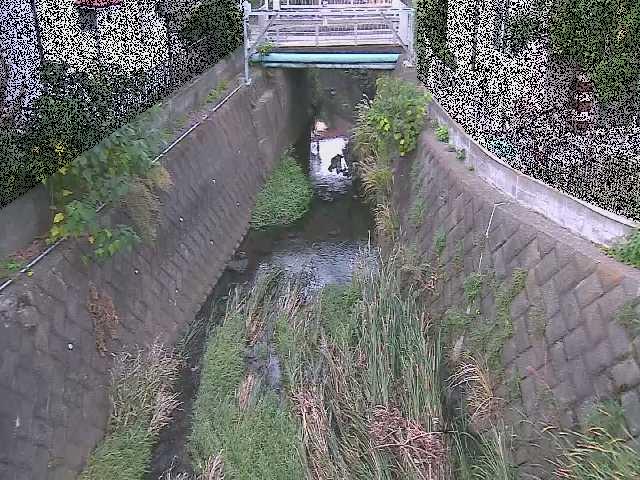 大津橋付近のカメラ画像