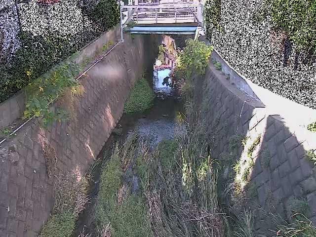 大津橋付近のカメラ画像