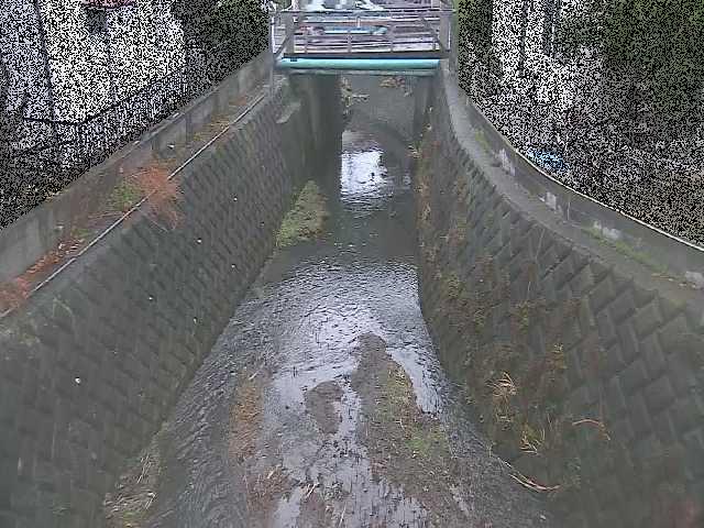 大津橋付近のカメラ画像