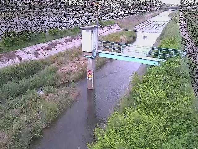 玉川橋付近のカメラ画像