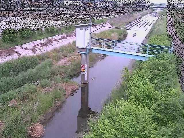 玉川橋付近のカメラ画像
