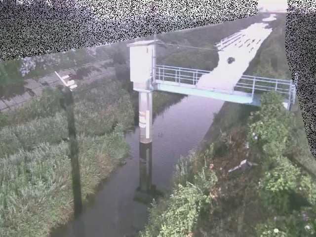 玉川 玉川橋付近のカメラ画像