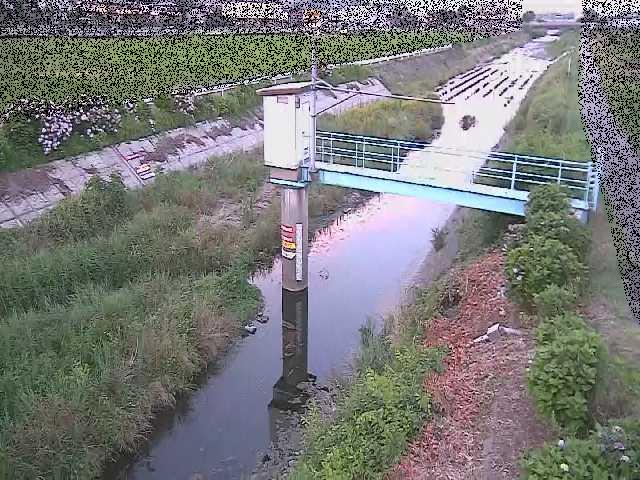 玉川 玉川橋付近のカメラ画像