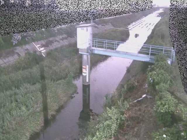 玉川 玉川橋付近のカメラ画像