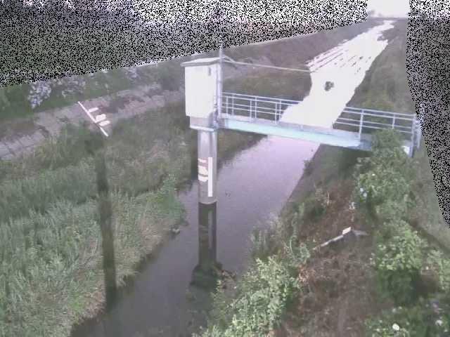 玉川橋付近のカメラ画像