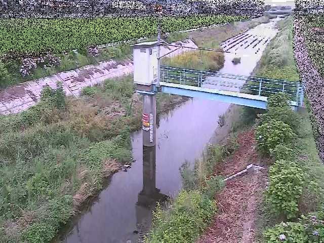 玉川 玉川橋付近のカメラ画像