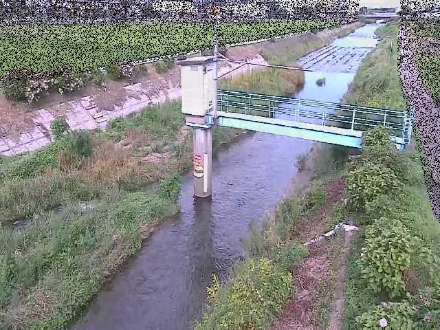 玉川 玉川橋付近のカメラ画像