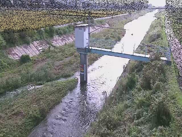 玉川 玉川橋付近のカメラ画像