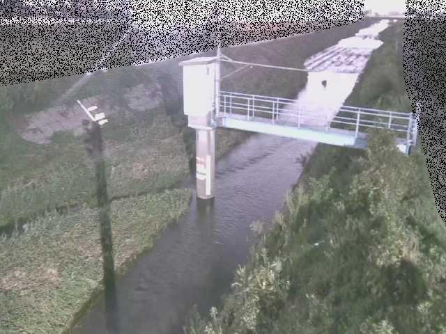 玉川 玉川橋付近のカメラ画像