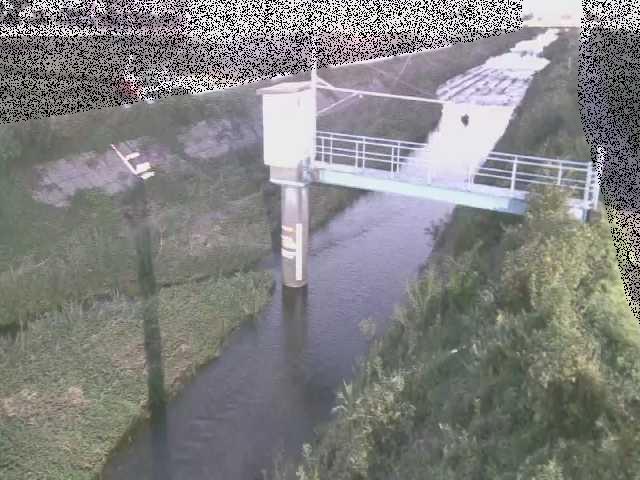 玉川橋付近のカメラ画像