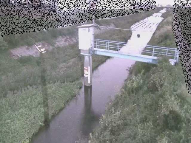 玉川橋付近のカメラ画像