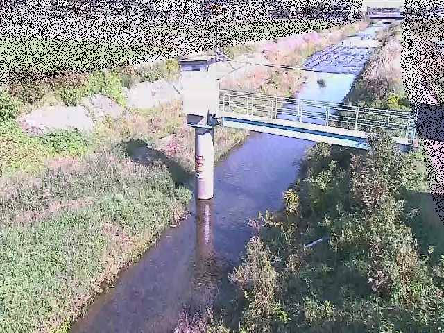 玉川 玉川橋付近のカメラ画像
