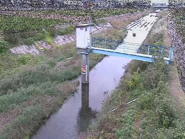 玉川 玉川橋付近のカメラ画像