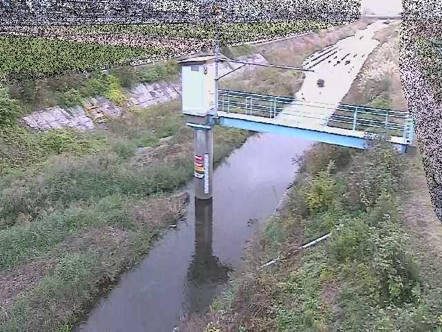 玉川橋付近のカメラ画像