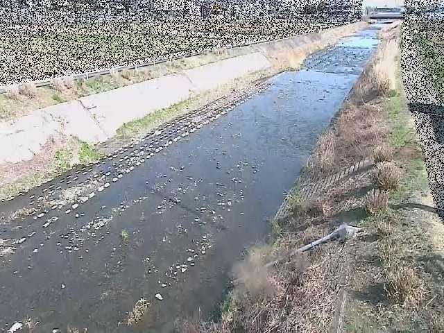 玉川橋付近のカメラ画像