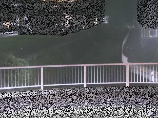 荻野川 荻野橋付近のカメラ画像