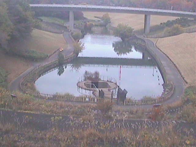 細田川 森の里付近のカメラ画像