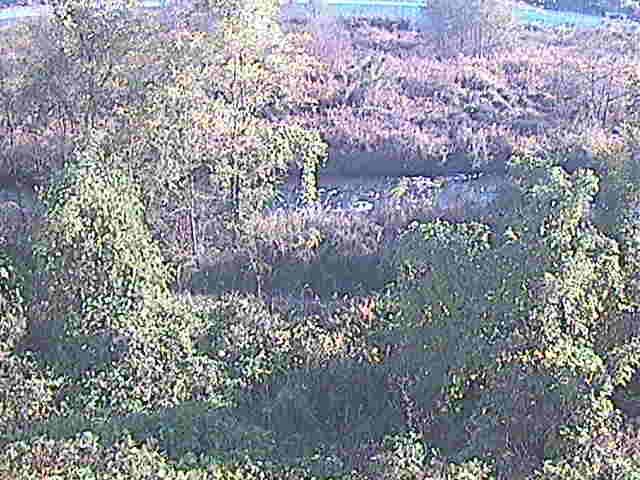 平山橋付近のカメラ画像