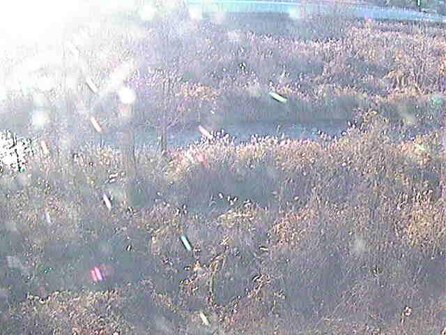 平山橋付近のカメラ画像