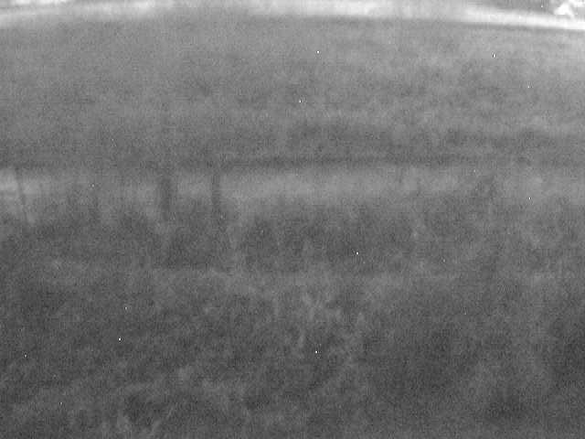 平山橋付近のカメラ画像