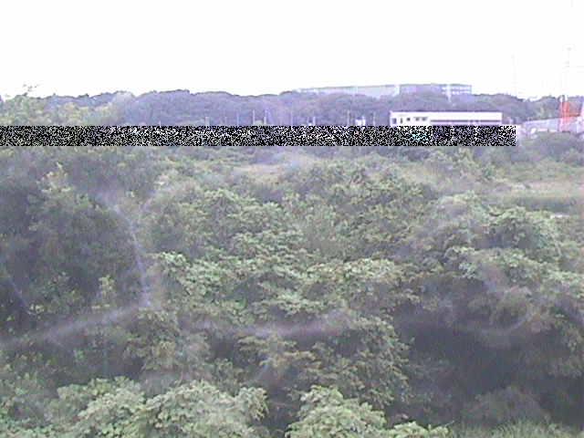 相模川 上依知付近のカメラ画像