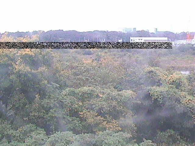 相模川 上依知付近のカメラ画像