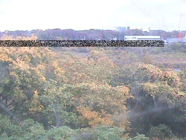 上依知付近のカメラ画像