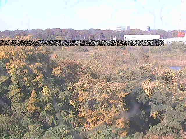 上依知付近のカメラ画像