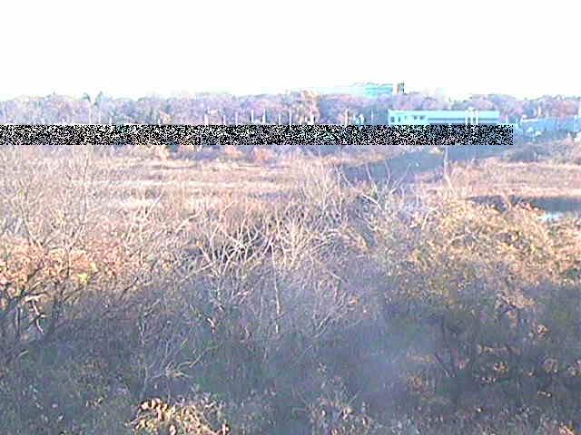 上依知付近のカメラ画像