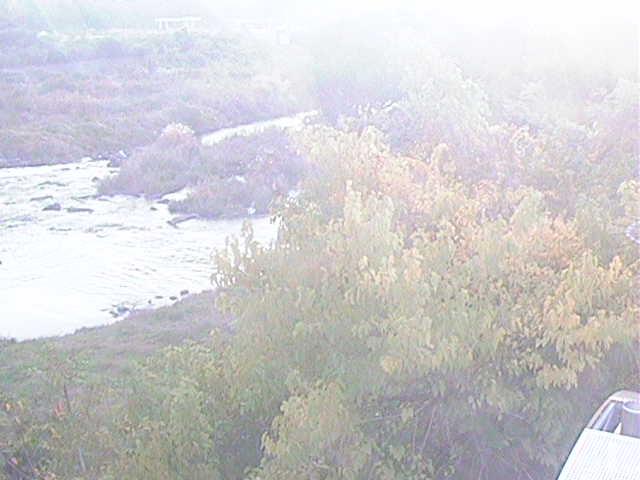 才戸橋付近のカメラ画像