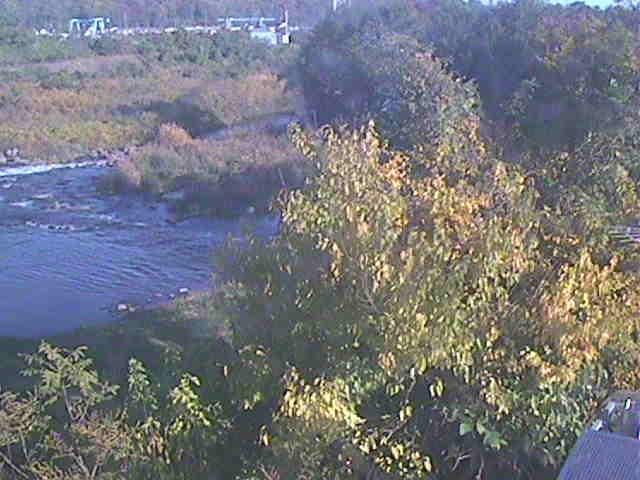 才戸橋付近のカメラ画像