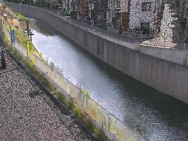 境川 境橋付近のカメラ画像