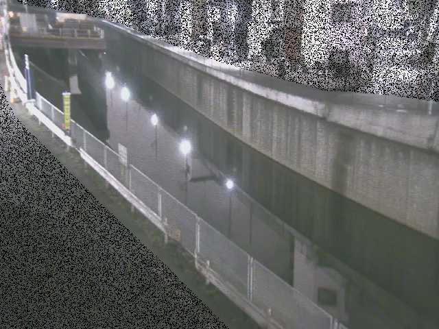 境川 境橋付近のカメラ画像