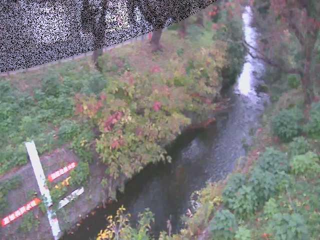 八幡橋付近のカメラ画像