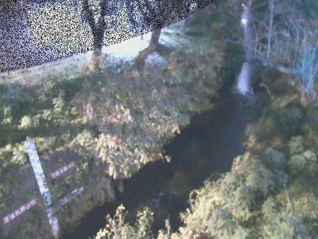 引地川 八幡橋付近のカメラ画像