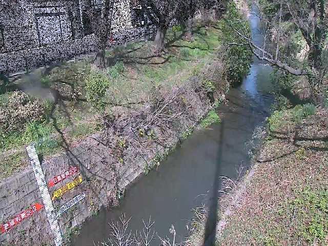 引地川 八幡橋付近のカメラ画像